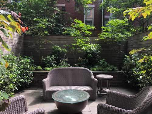 NYC Backyard Garden